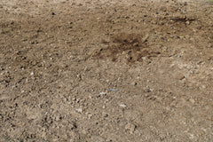 ACT Corral Cleaner – Eco-Friendly Odor Eliminator & Waste Breaker for Barns, Coops & Stalls | Safe for Livestock | USDA BioPreferred